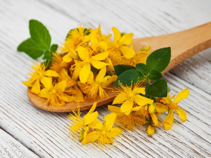 St. John Oil: El Elixir para una Piel Resplandeciente